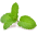 Mäta pieporná
