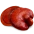 Reishi Reishi