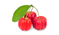 Acerola