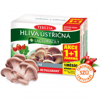 Hliva ustricovitá + lactobacily
