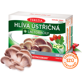Hliva ustricovitá + lactobacily