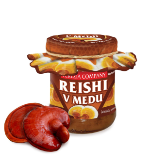 Reishi v mede