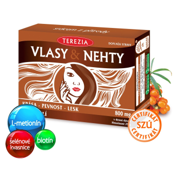 Vlasy & Nechty