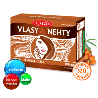 Vlasy & Nechty
