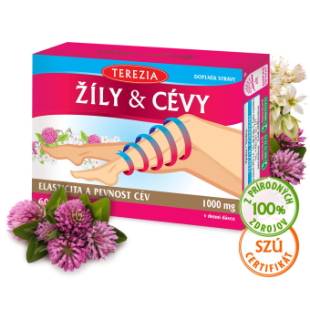 ŽILY & CIEVY