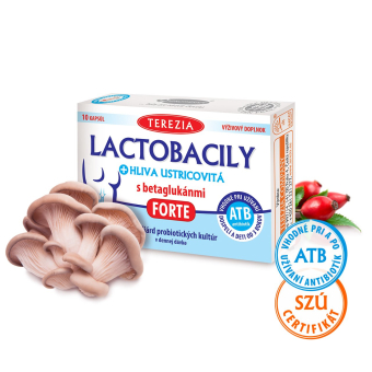 Lactobacily + hliva ustricovitá FORTE