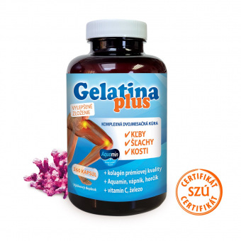 Gelatina plus