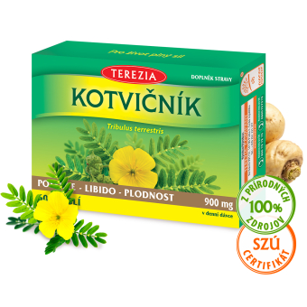 Kotvičník