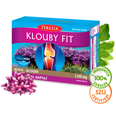 KĹBY FIT