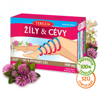 ŽILY & CIEVY