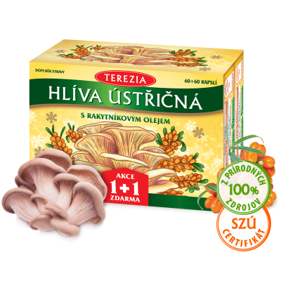 E-shop Hliva ustricovitá s rakytníkovým olejom – Limitovaná edícia
