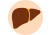 Pečeň