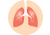 Dýchacia sústava