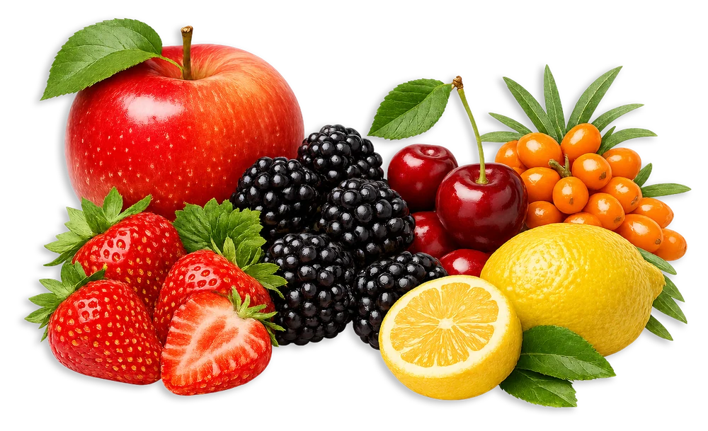 Výber ovocia použitého pre ovocnú chuť RAKYTNÍČEK FRUTTY